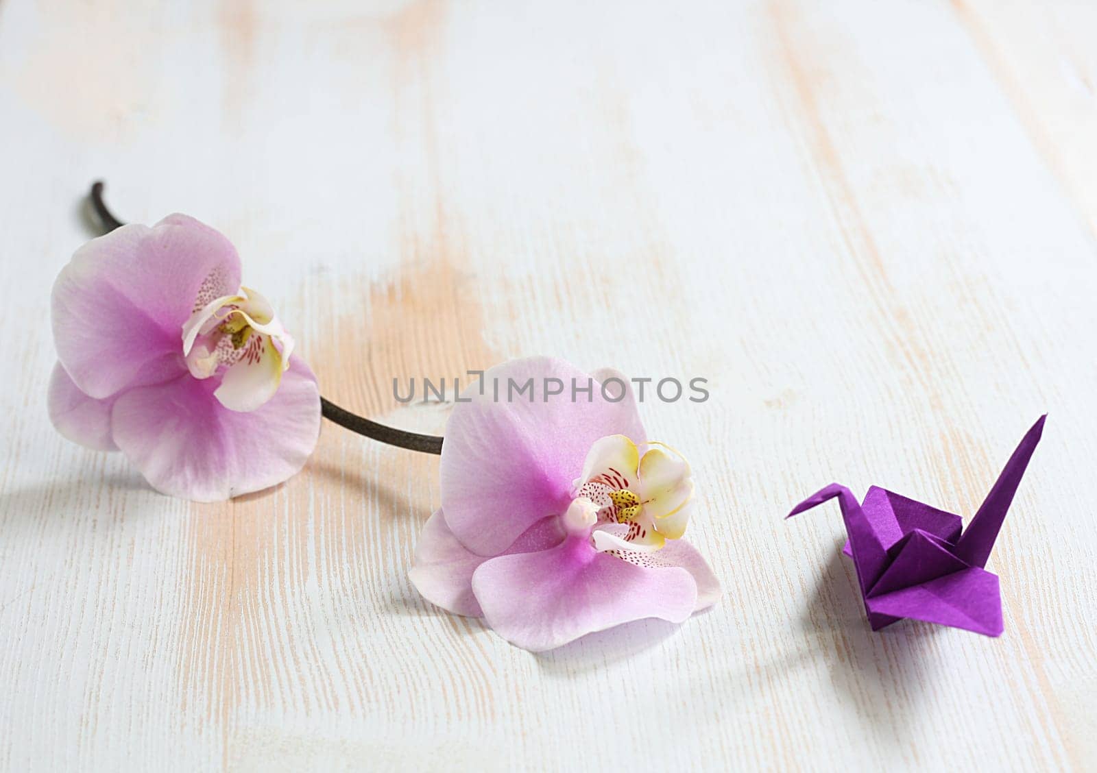 Origami