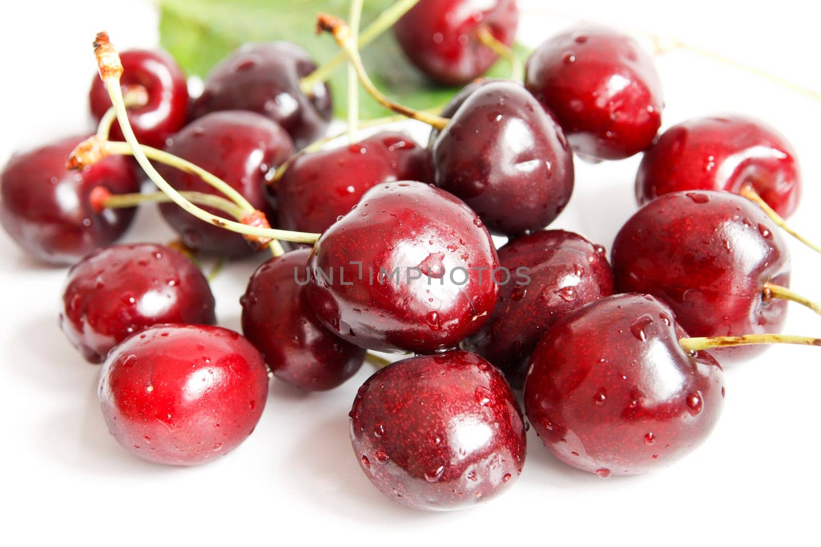 Wet cherries on white background