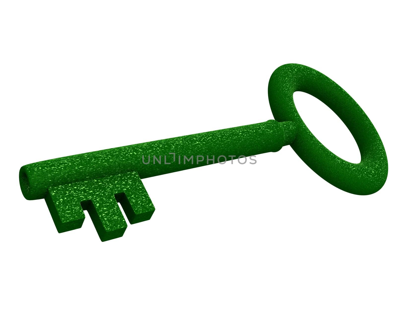 key in green gras (3d)