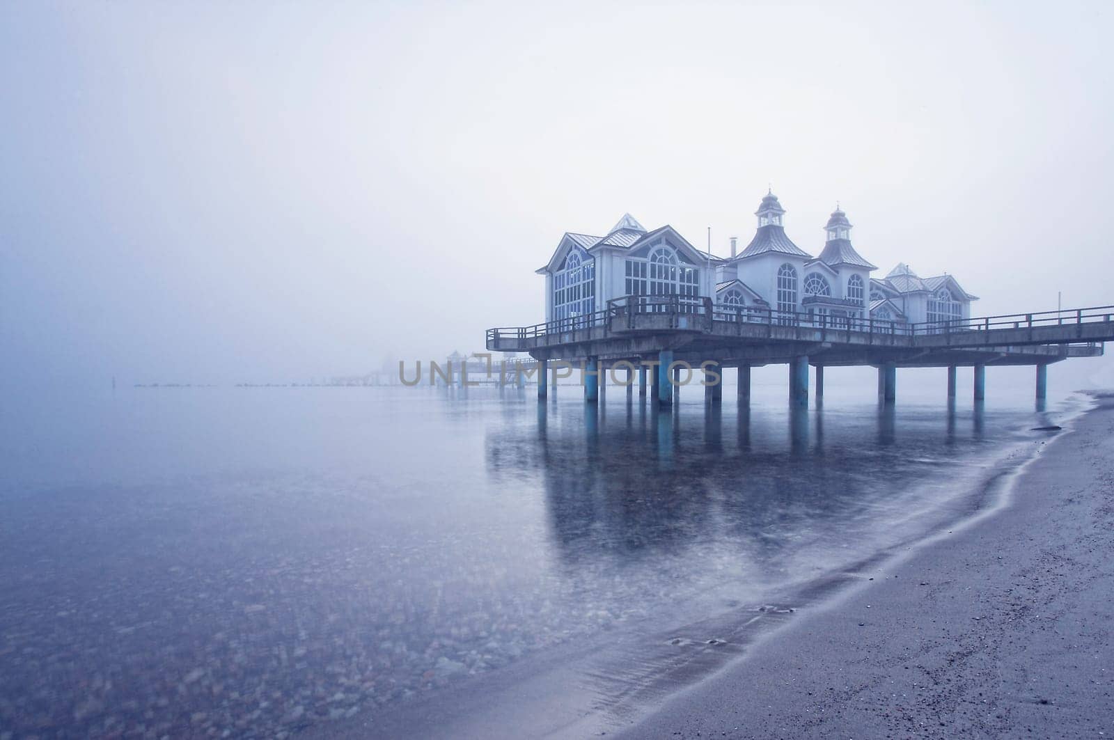 in the fog
