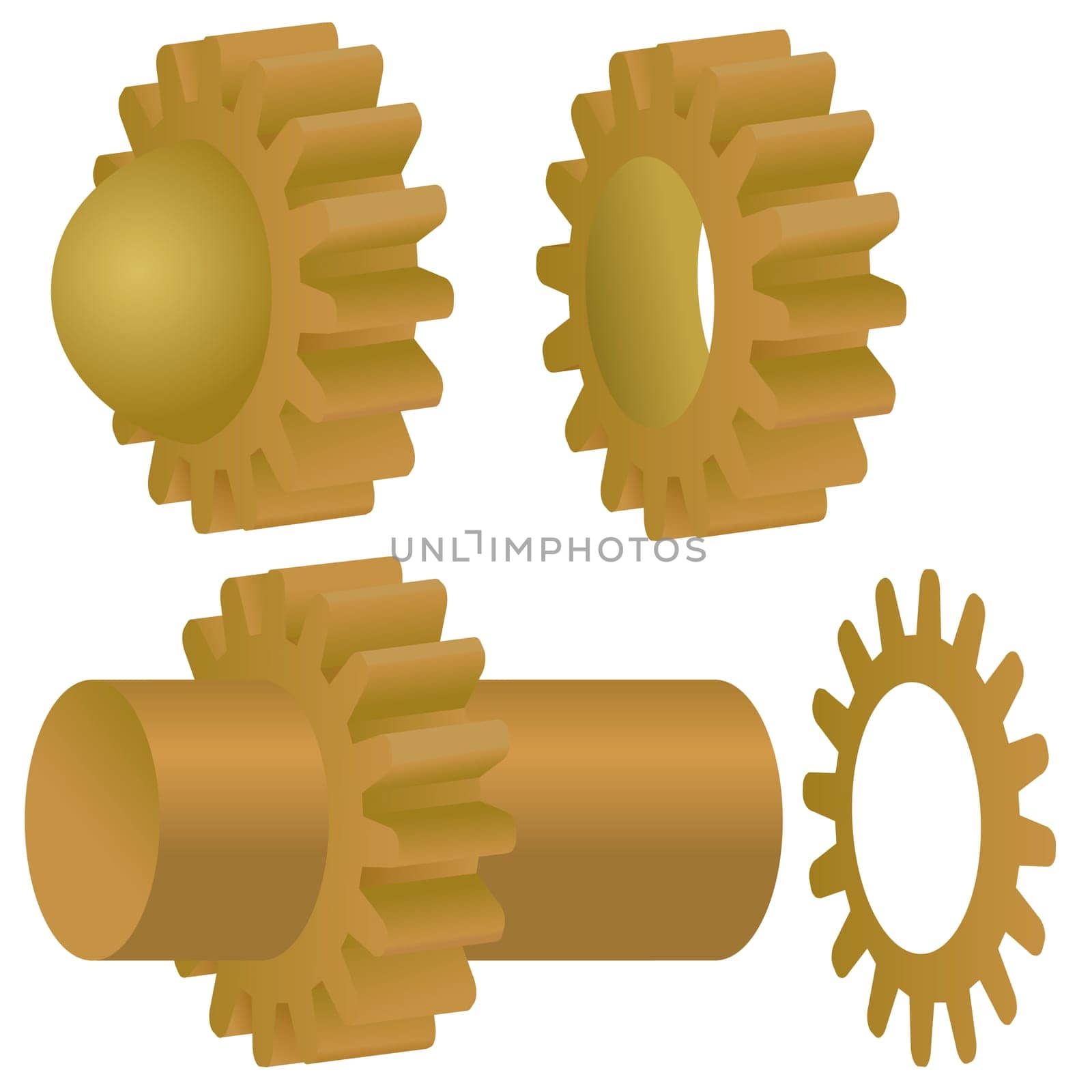 Illustration of the various gears - cog wheels
