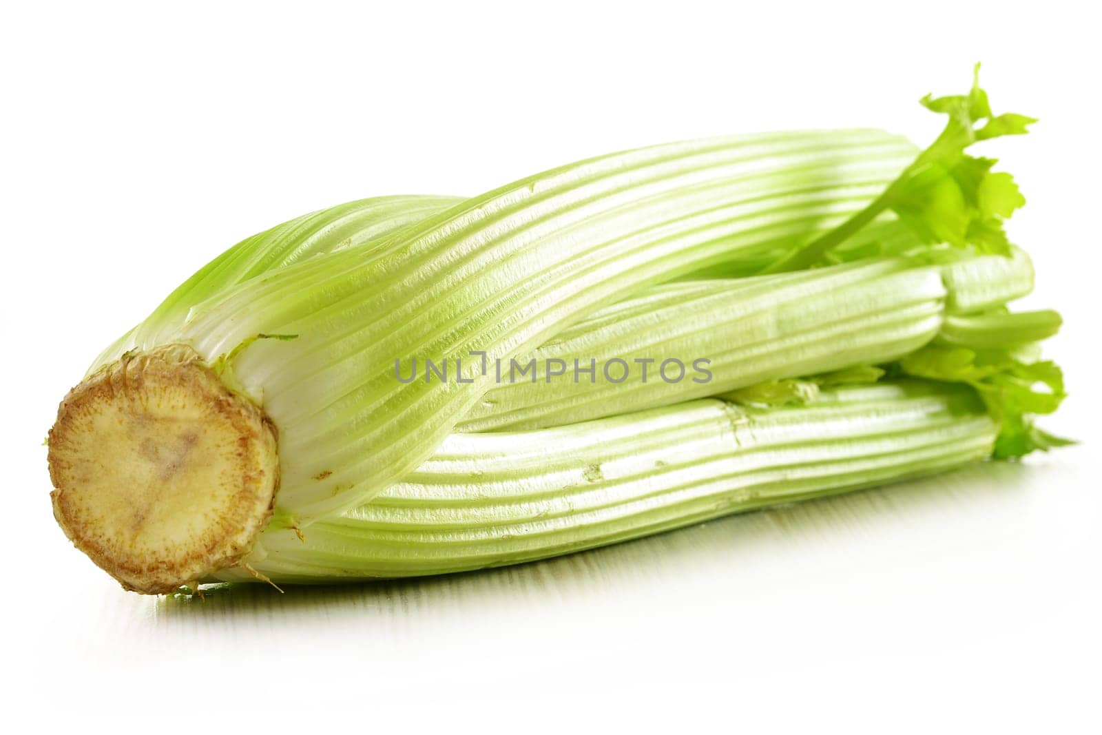 Fresh celery isolated on white