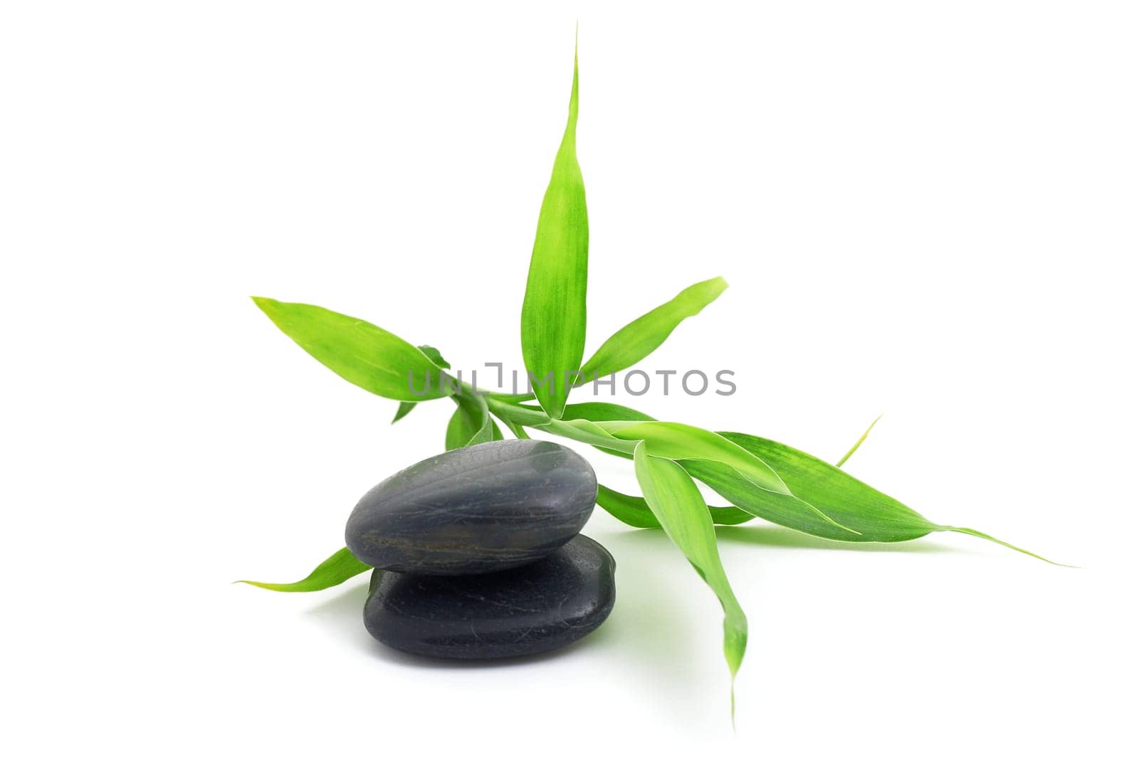 Stones for spa with green bamboo