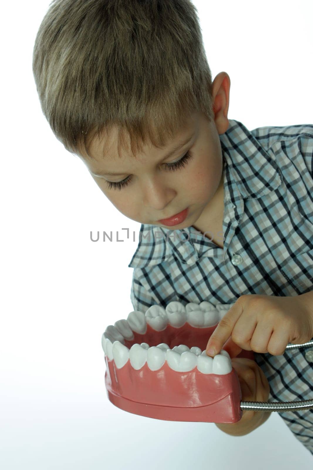 Dental Screening for Toddlers