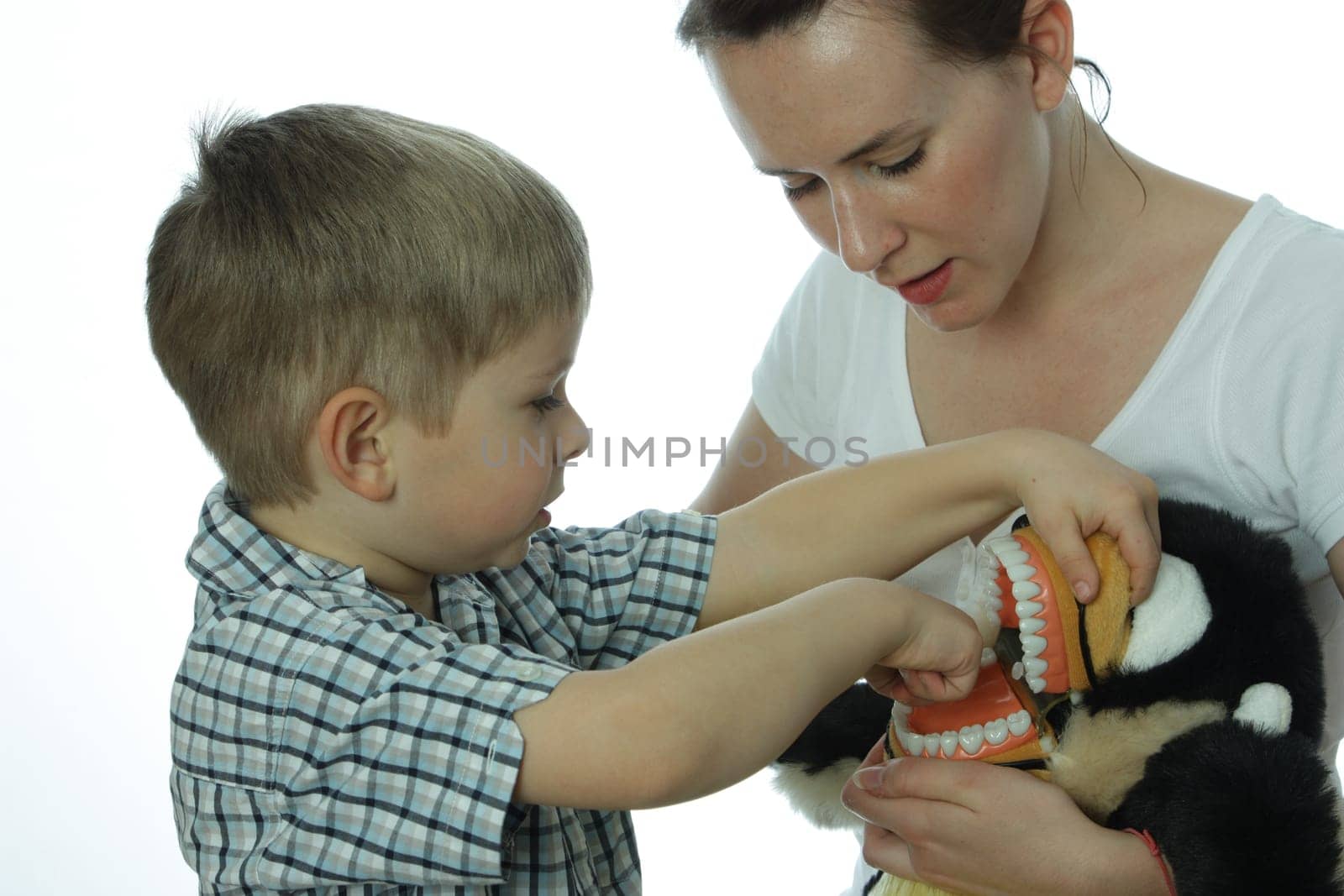 Dental Screening for Toddlers