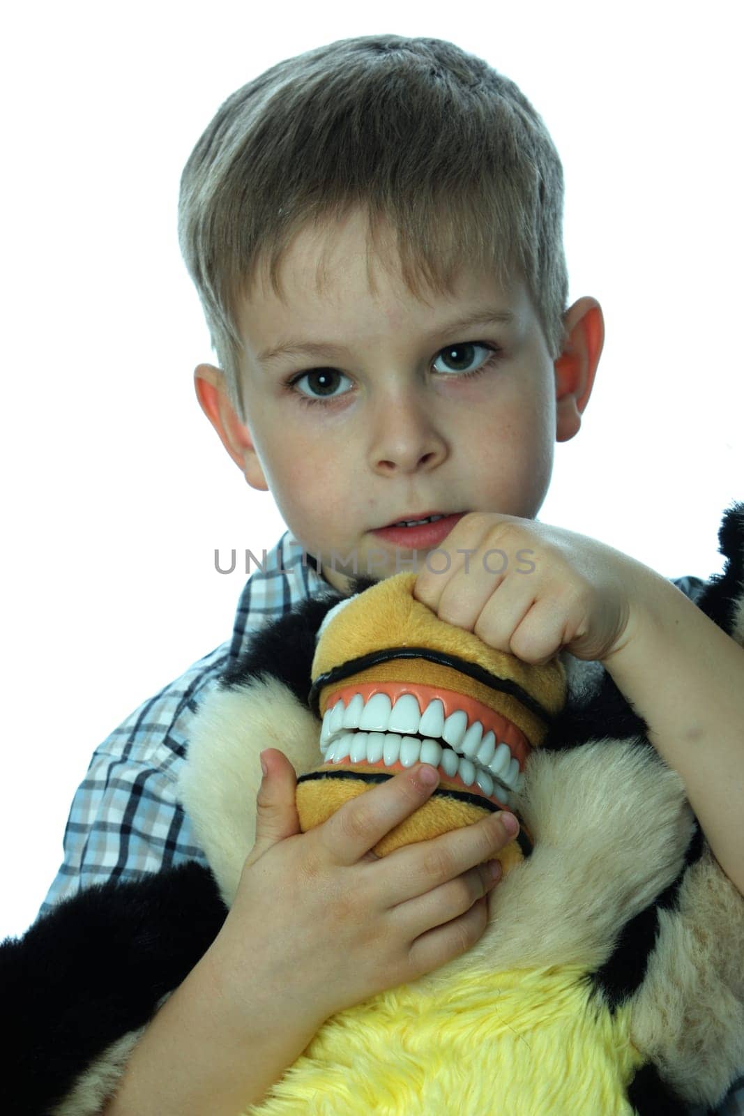Dental Screening for Toddlers