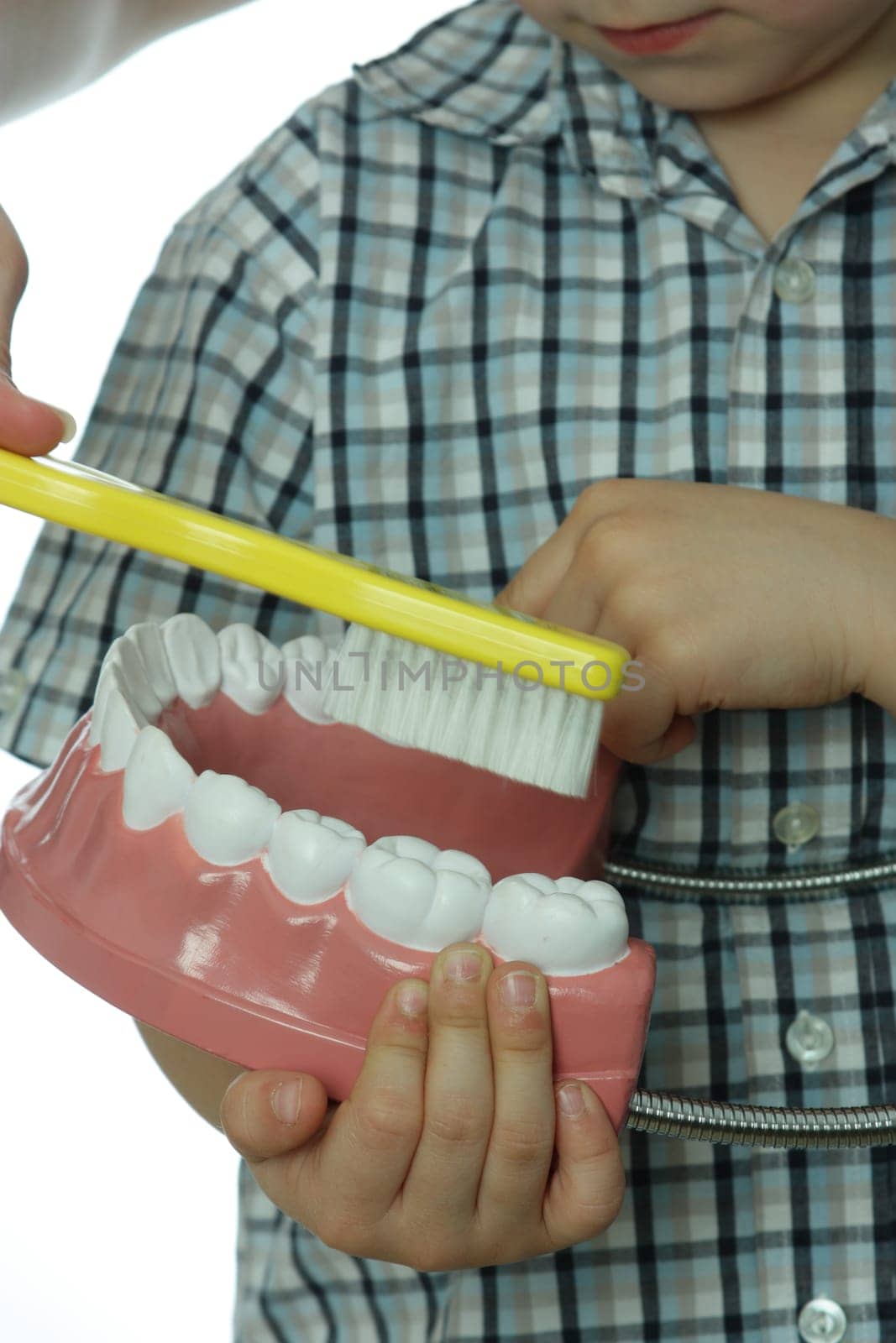 Dental Screening for Toddlers