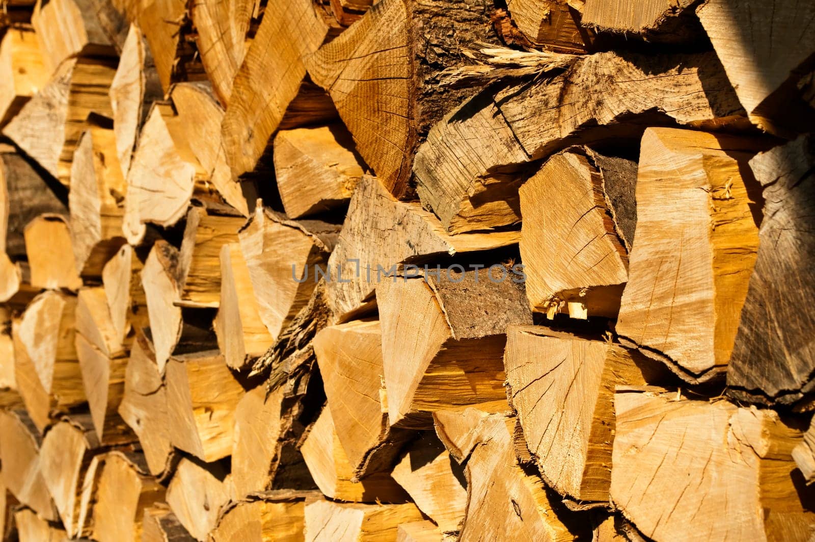 Firewood