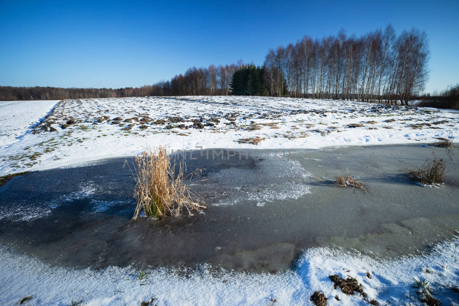 Frozen water and snow on a farm field, view on a sunny winter day by darekb22