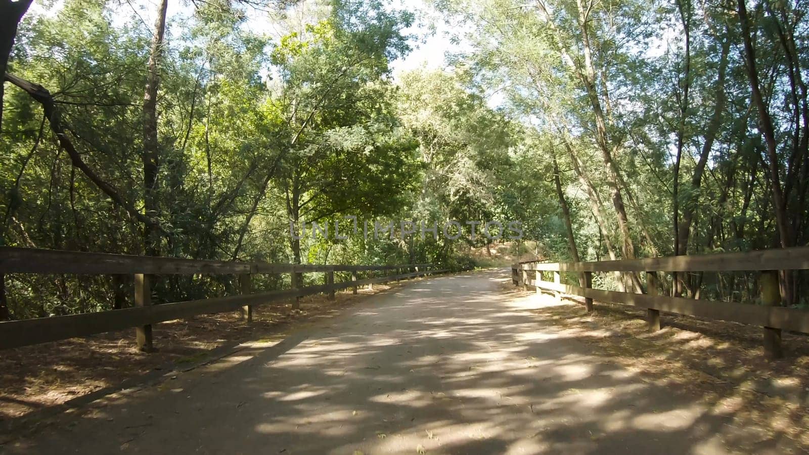 Point of view shot of riding a bicycle at Amarante Cycling Trail in Portugal. Features a wide view of the bike track and the natural scenery as it travels.