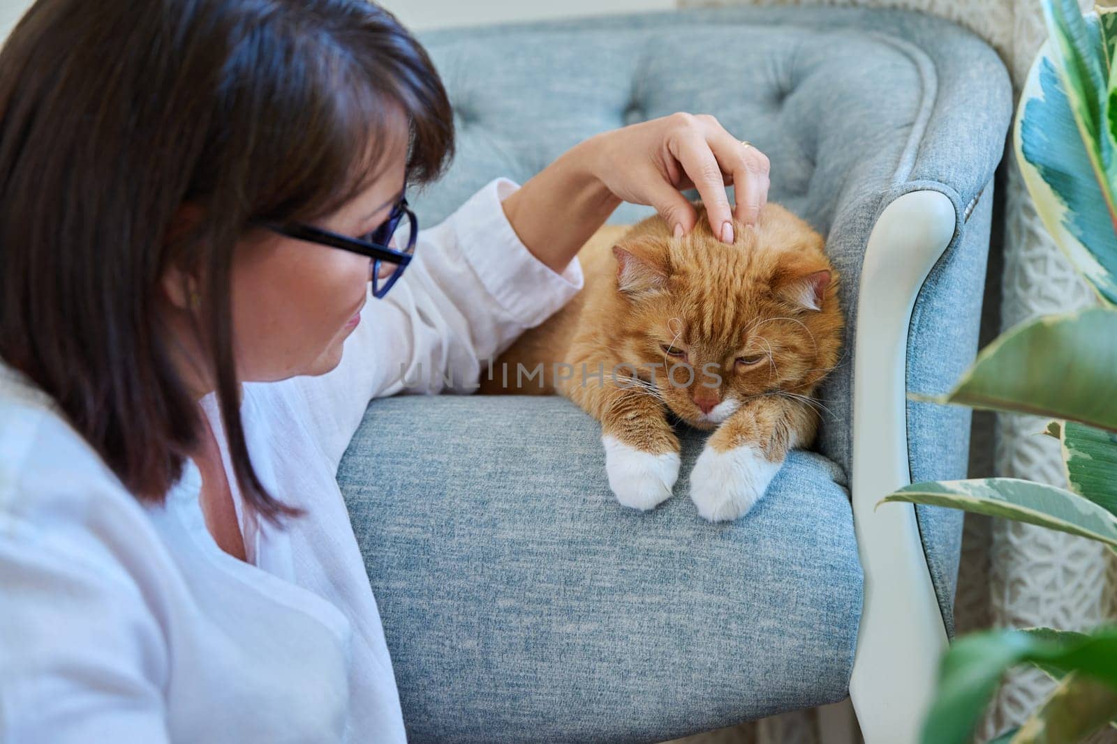 Middle aged woman talking touching ginger pet cat, home interior background. Friendship, love, care, leisure, lifestyle, animals people house concept
