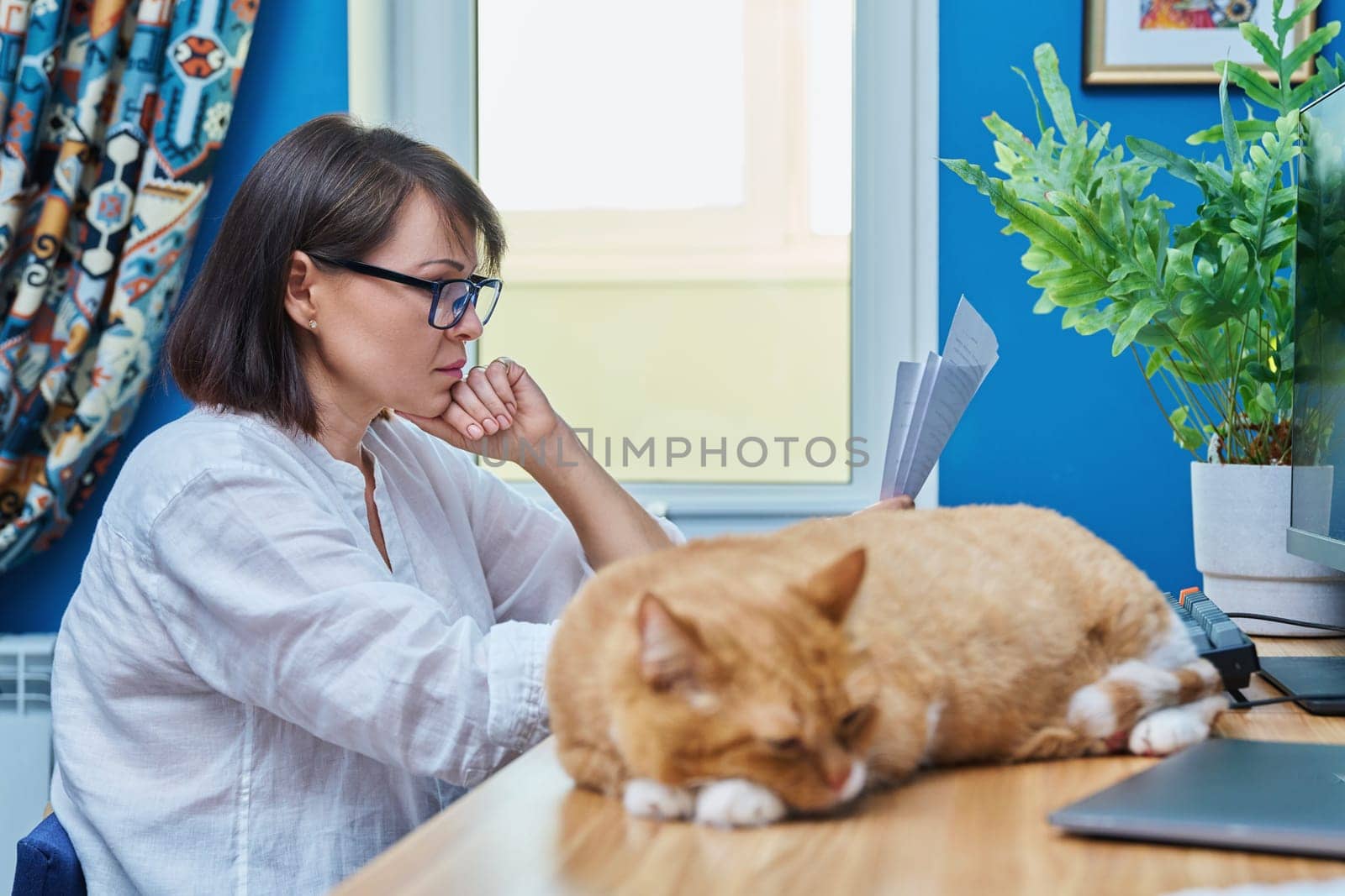 Cat sleeping on desk in home office, woman working using computer. Remote work at home, pets animals, lifestyle concept