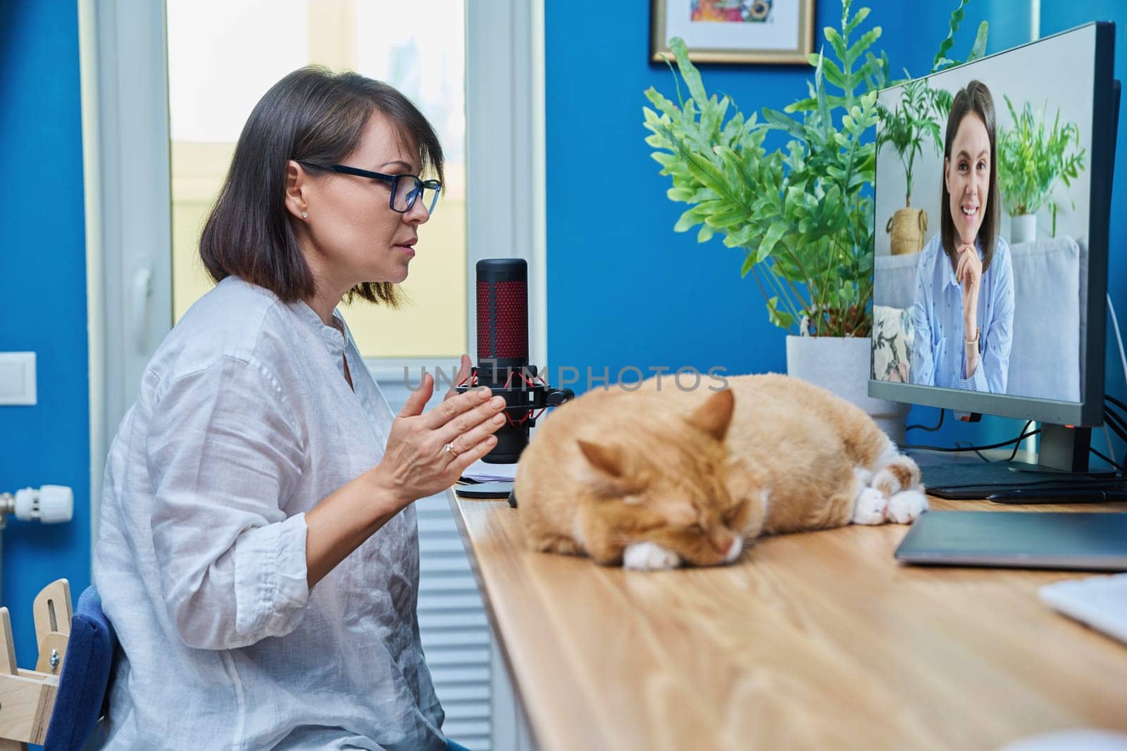 Online meeting conference, mature female talking to young woman in computer screen. Remote chat with colleague client patient student buyer employee. Work, technology, lifestyle concept