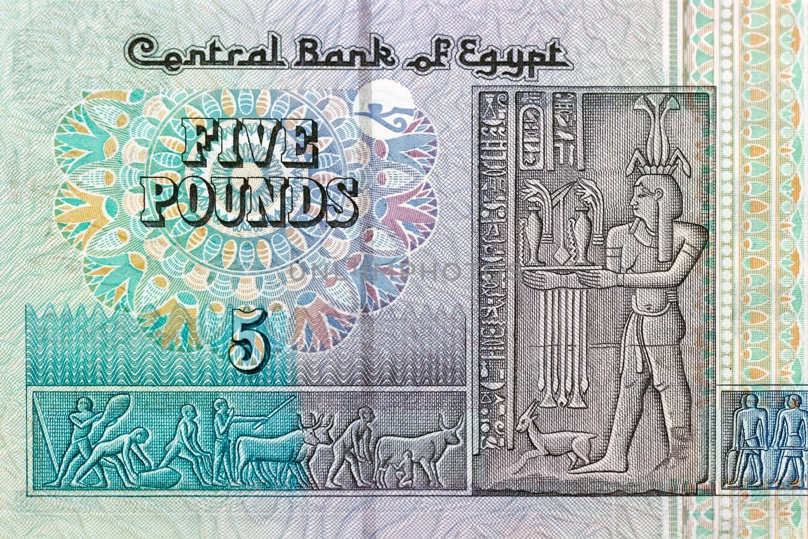 5 five pound bill of Egypt, green pattern, detail
