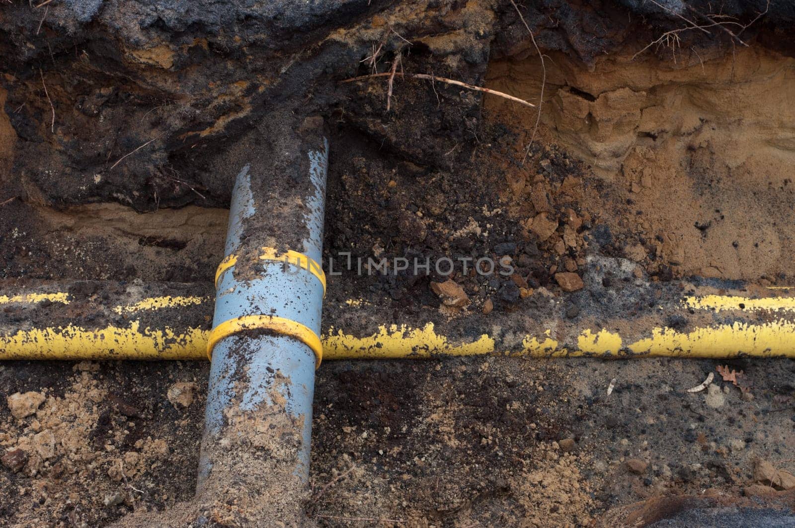 pvc pipes in the earth