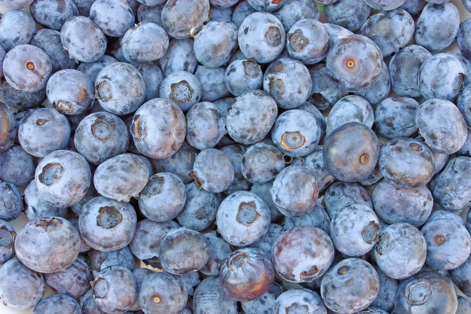 Heap of fresh ripe blueberries, background