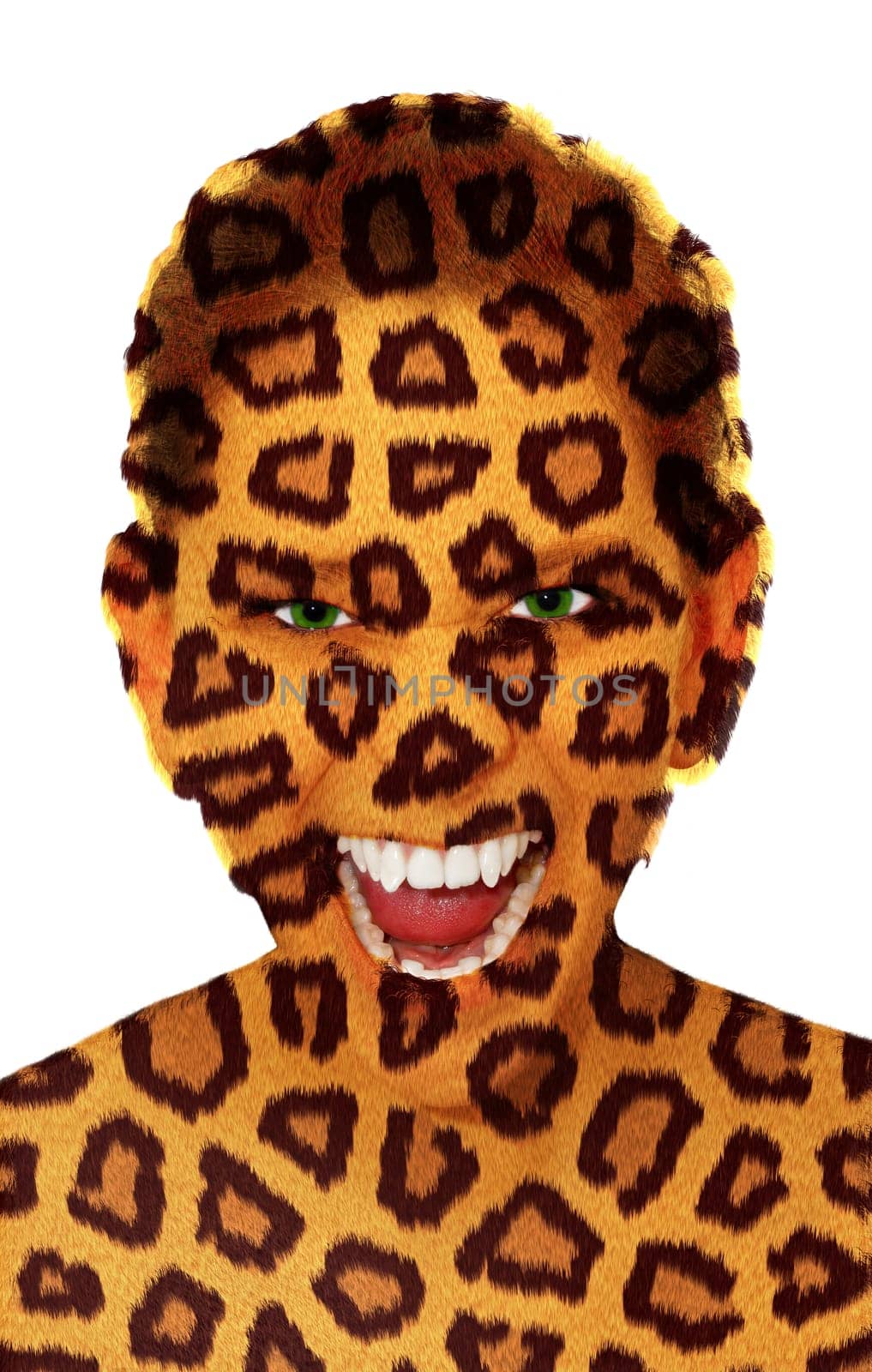 Animal Woman