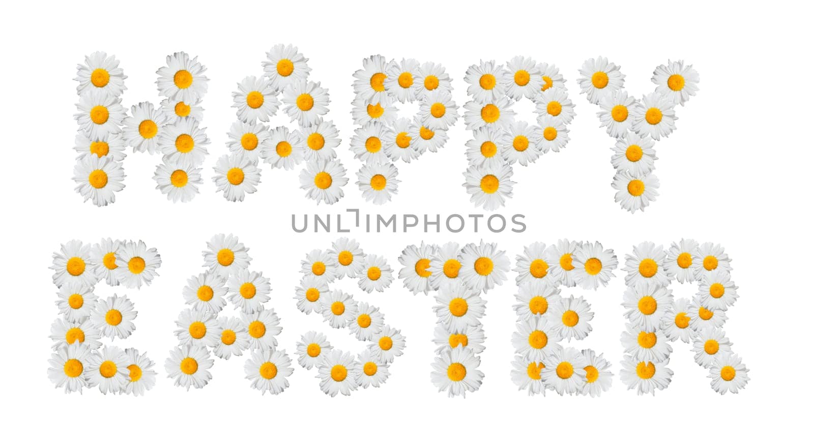 Happy Easter Sign Made of Daisy Flowers - Isolated  on White