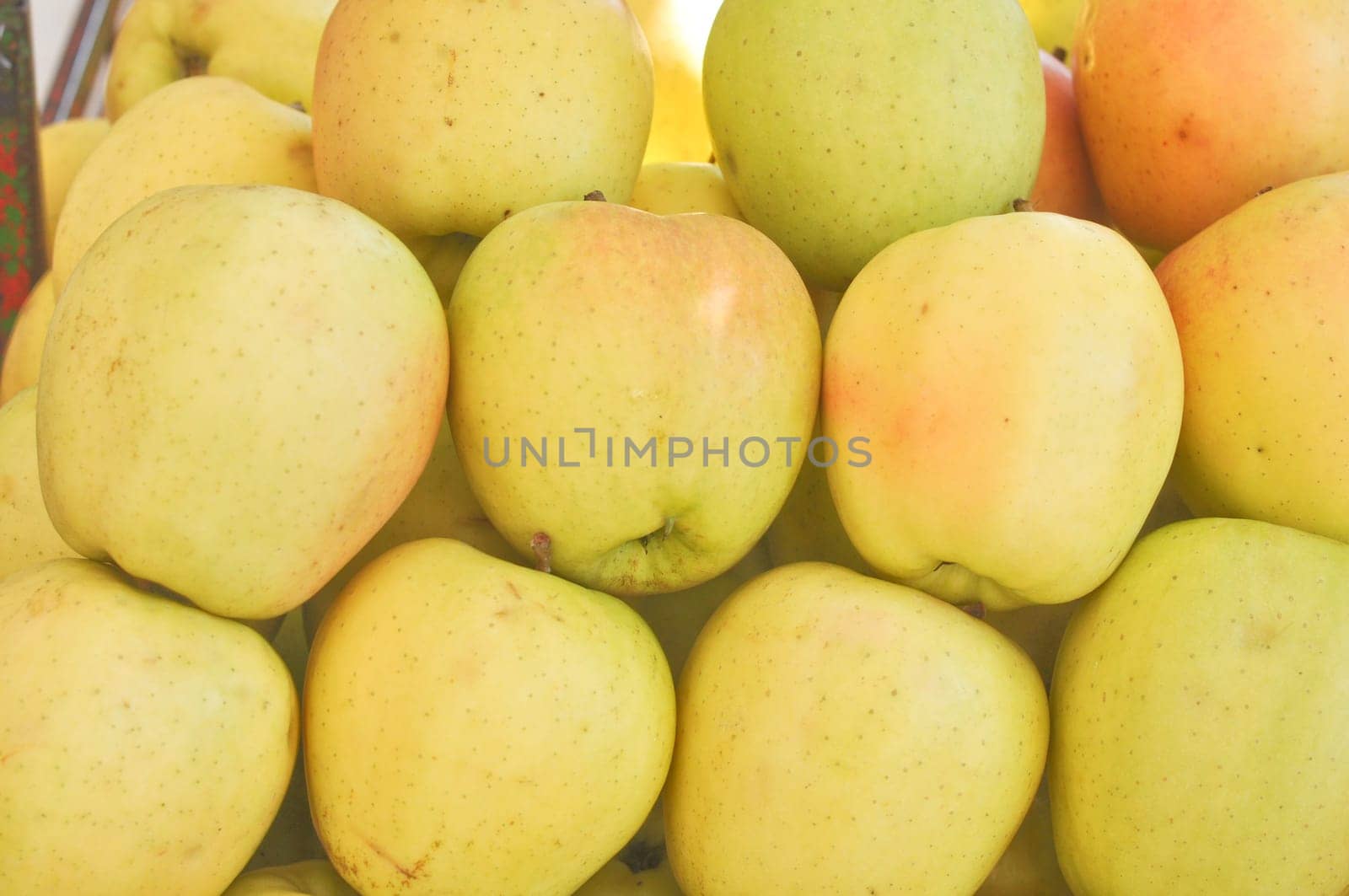 Apple fruit (Malus Domestica), green, yellow or red