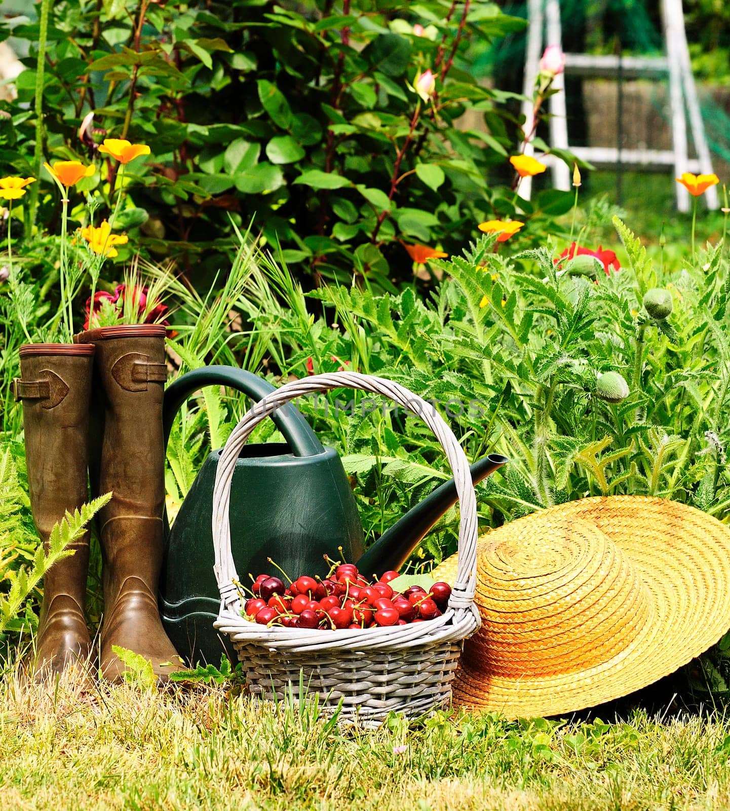 basket of cherries and straw hat in a flower garden