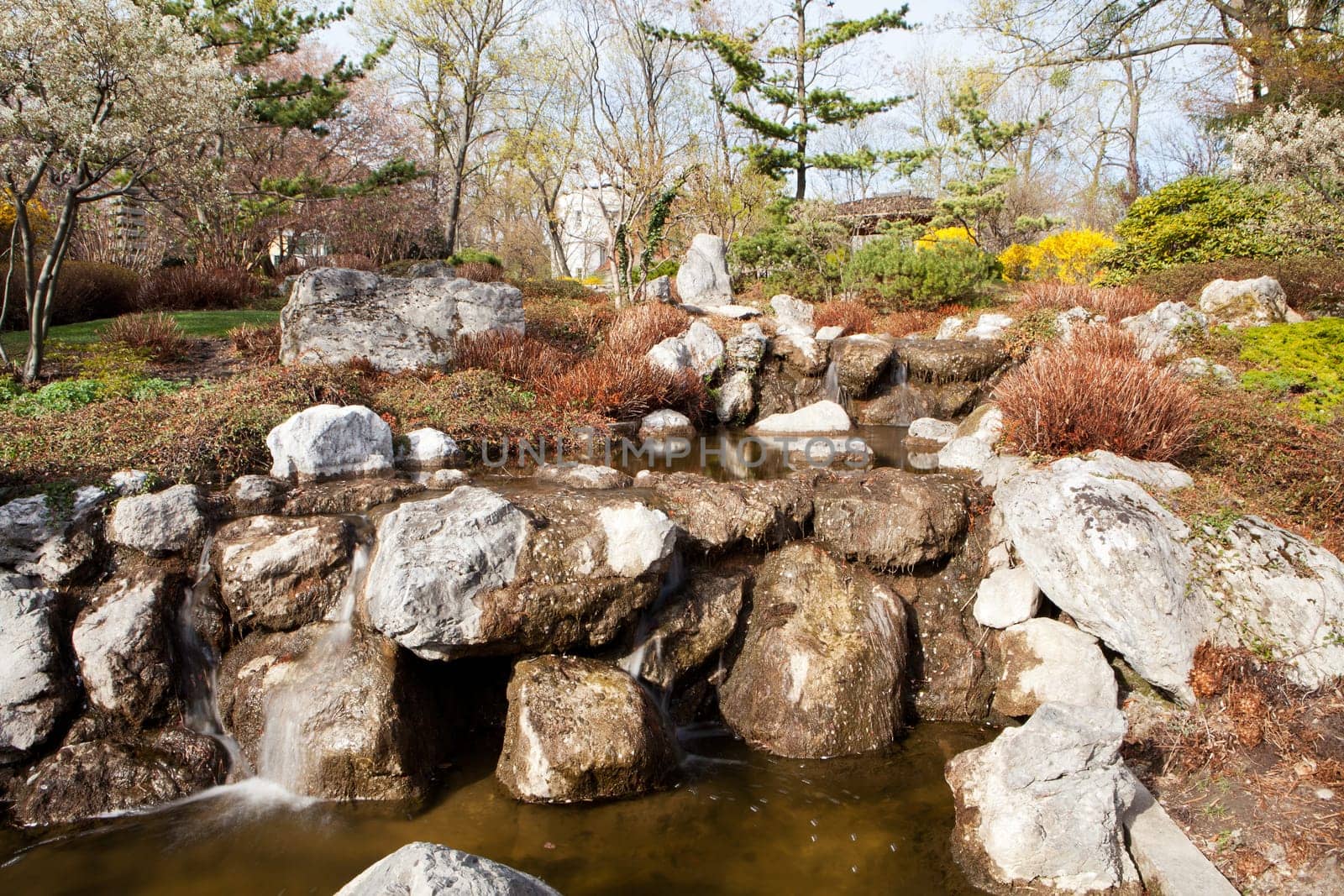 Japanese garden,landscape plants and small waterfall