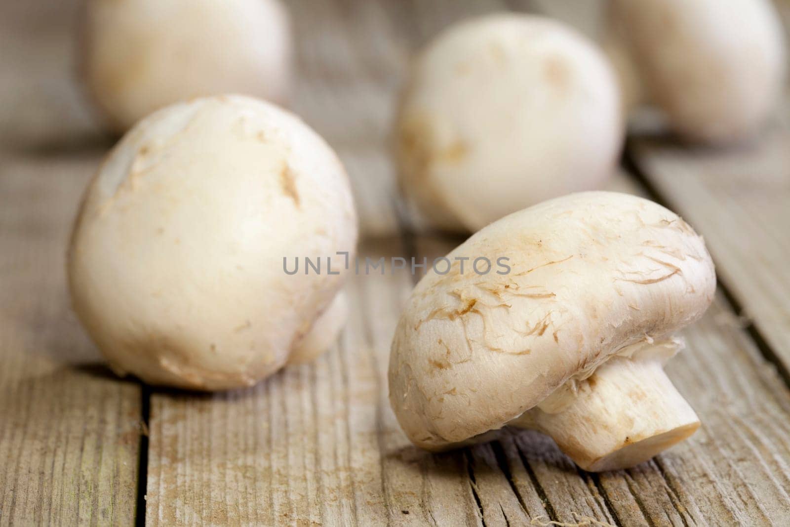 Fresh healthy brown mushrooms with very shallow depth of field