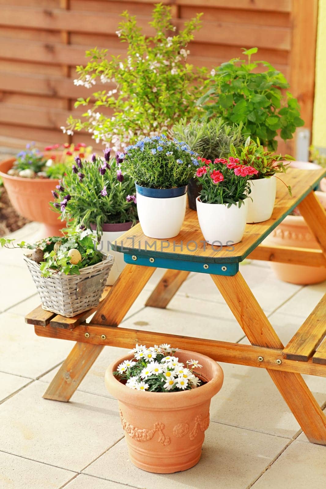 Outdoor flower pots for small garden, patio or terrace