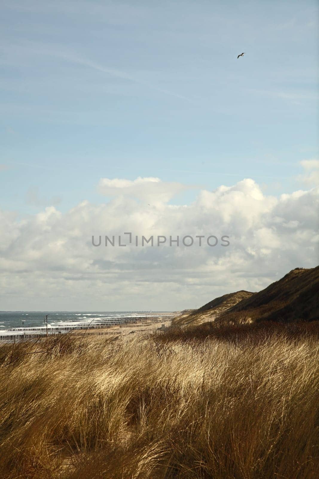domburg XIII