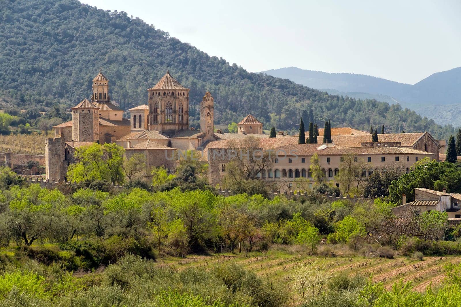 Monastery of Santa Maria de Poblet, Catalonia, Spain overview
