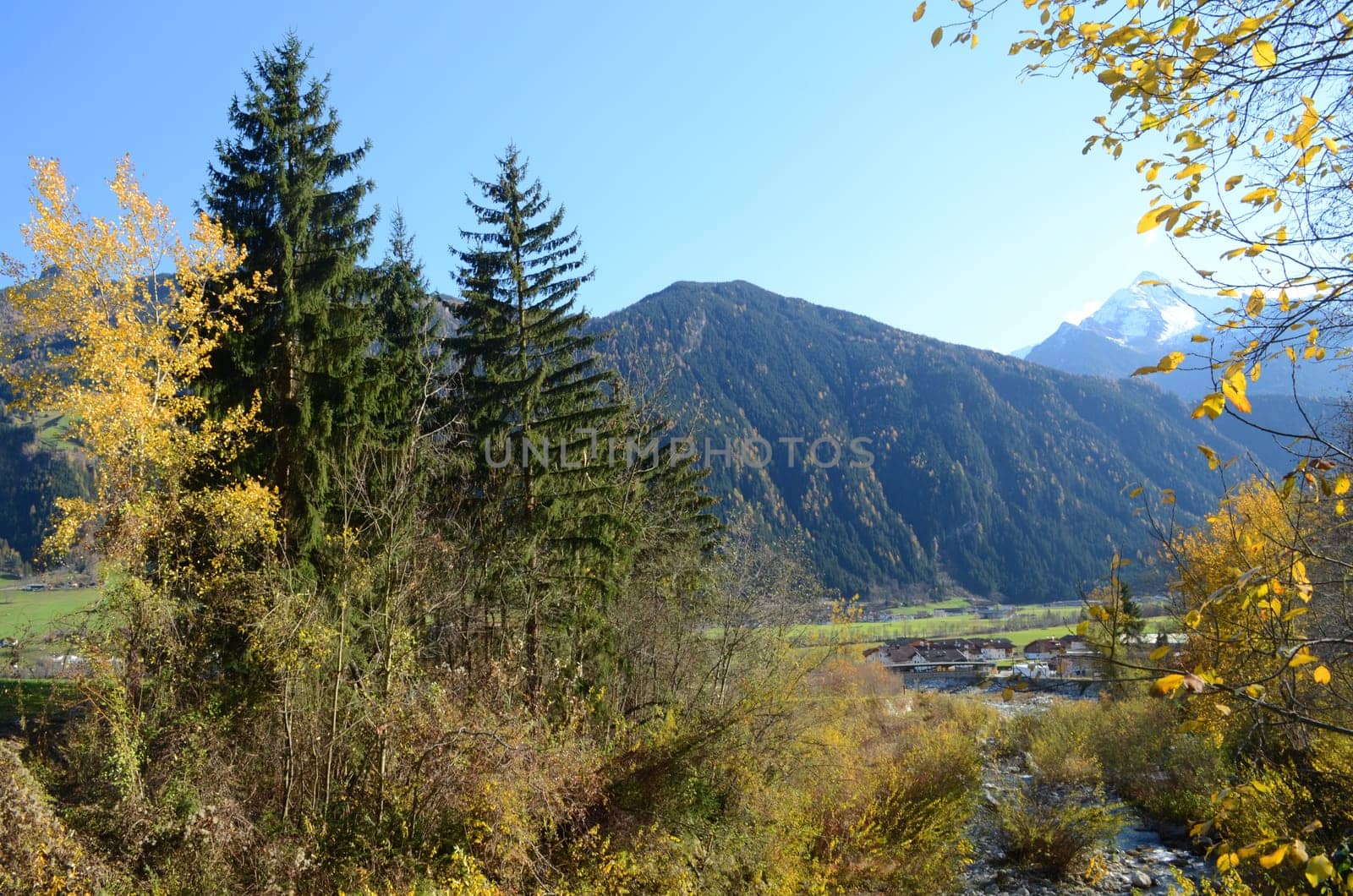 Autumn in the Alps (Tyrol,Austria)