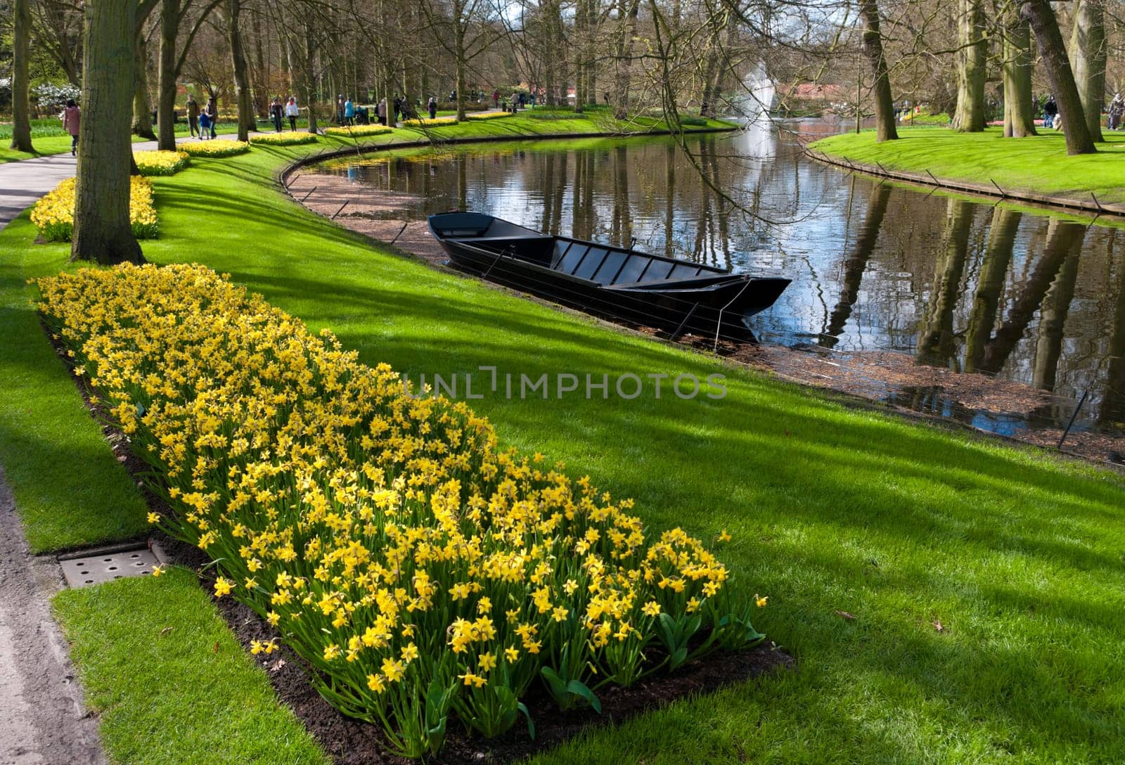 beautiful arranged garden with tulips in the Keukenhof, Lisse