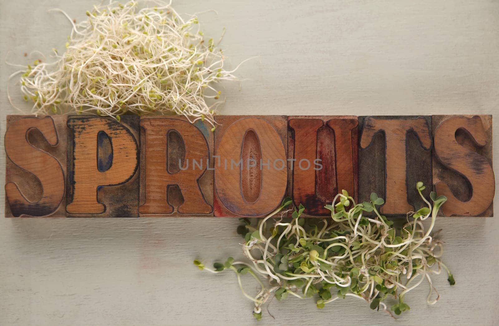alfalfa and daikon sprouts with the word in old wood type