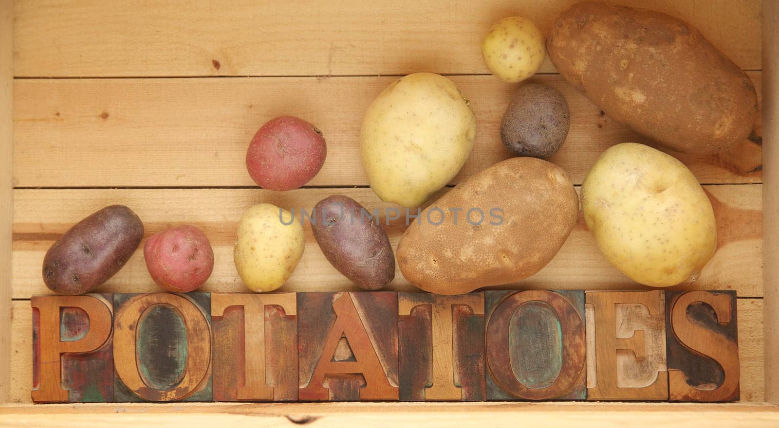 the word potatoes in old wood type with assorted kinds of spuds