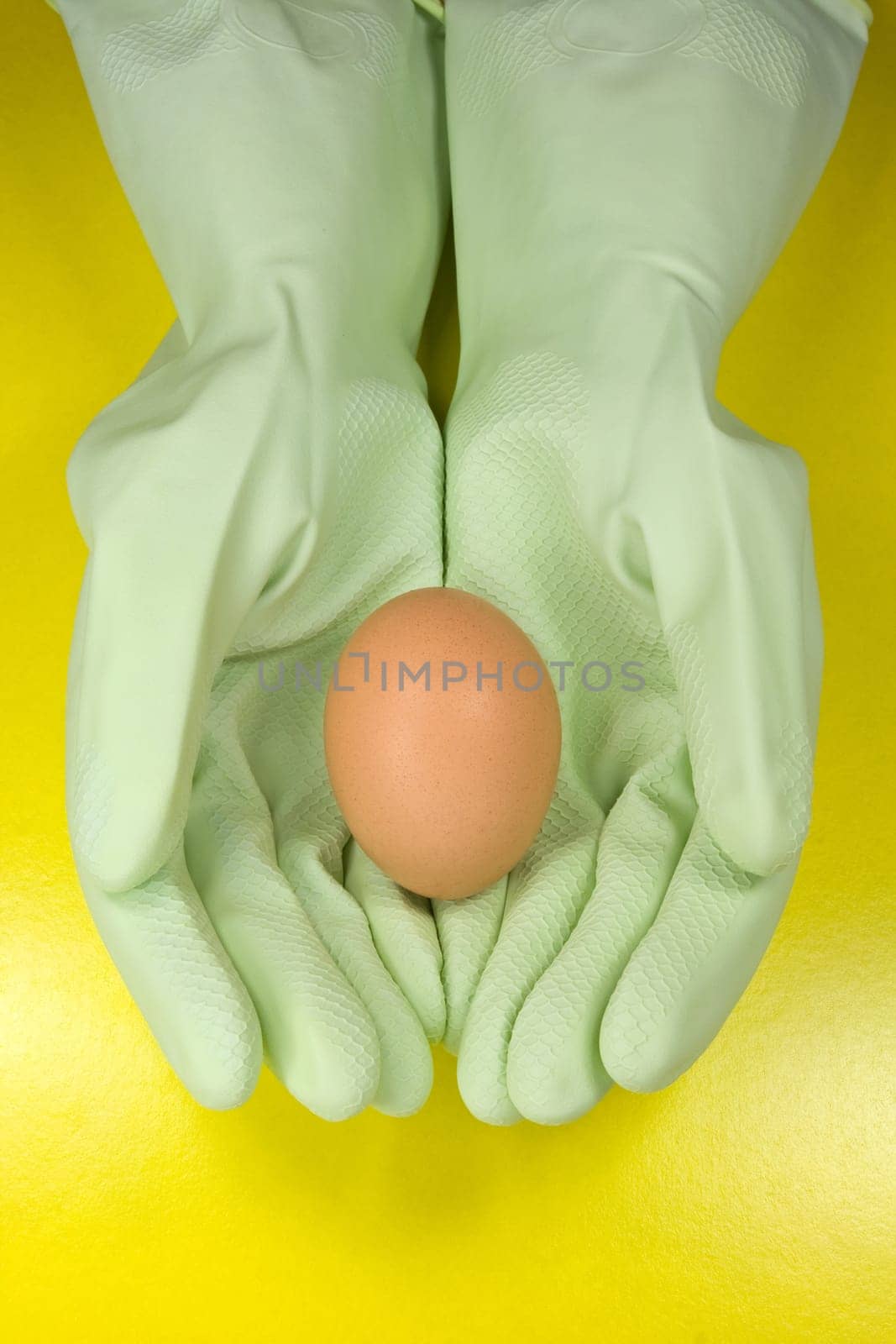 brown egg in a hands with rubber gloves
