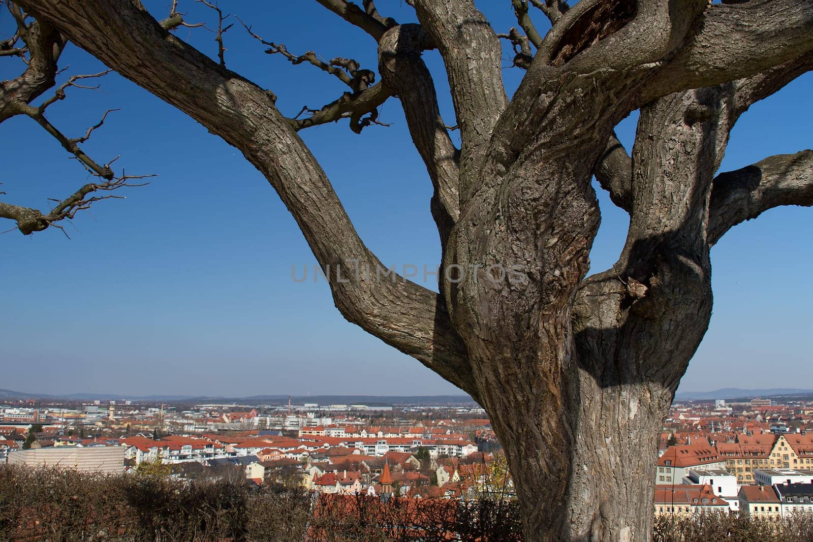 View over Bamberg