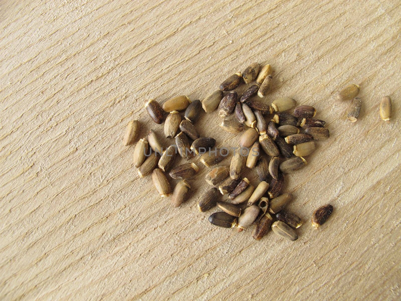 Milk thistle fruits,Cardui mariae fructus
