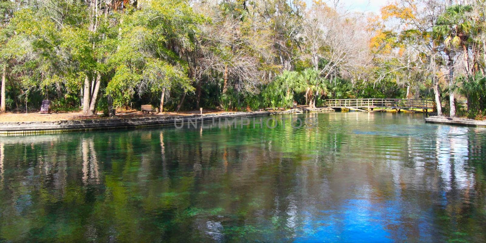Clear waters of Wekiwa Springs State Park in central Florida.