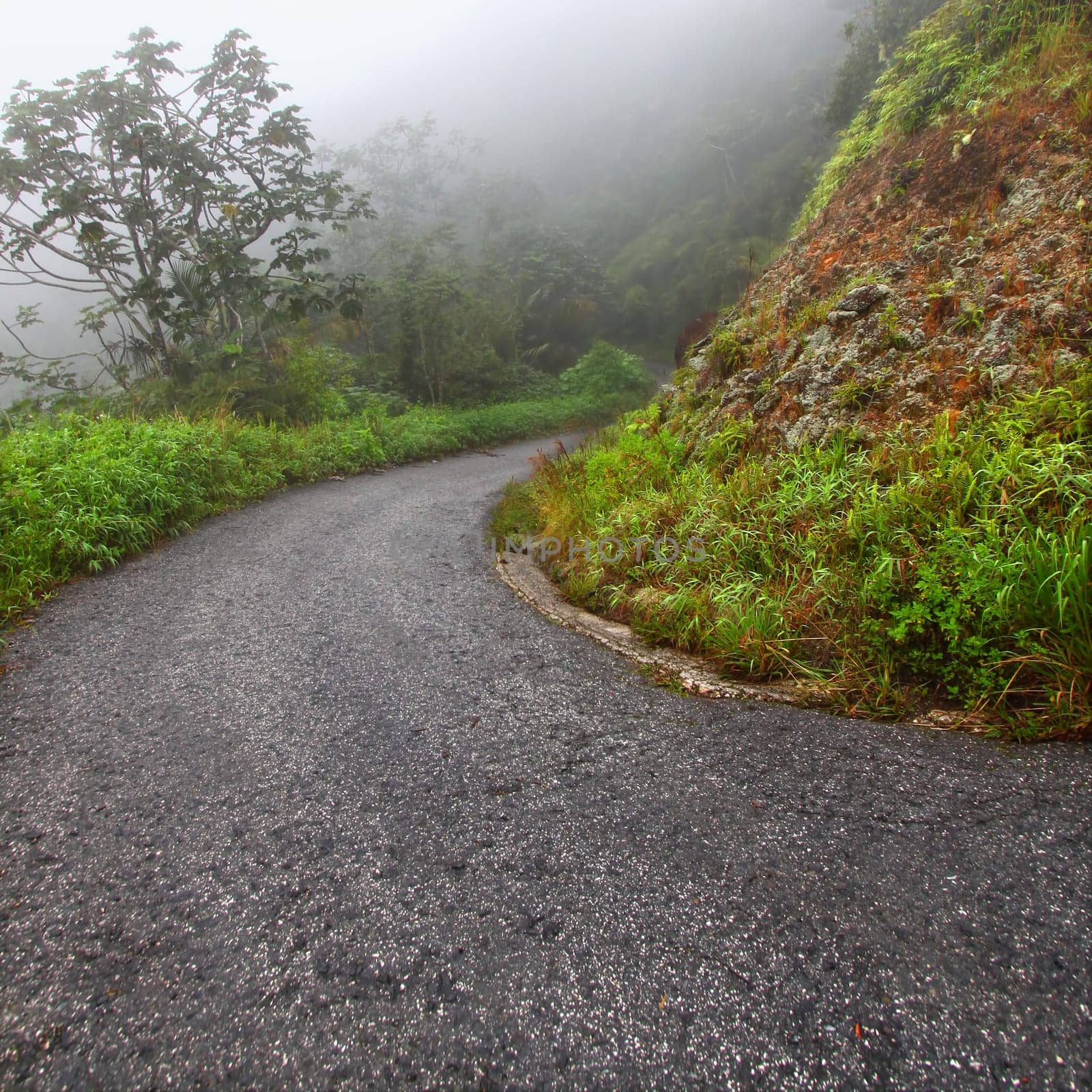Winding road leading to Cerro de Punta the highest elevation of Puerto Rico.