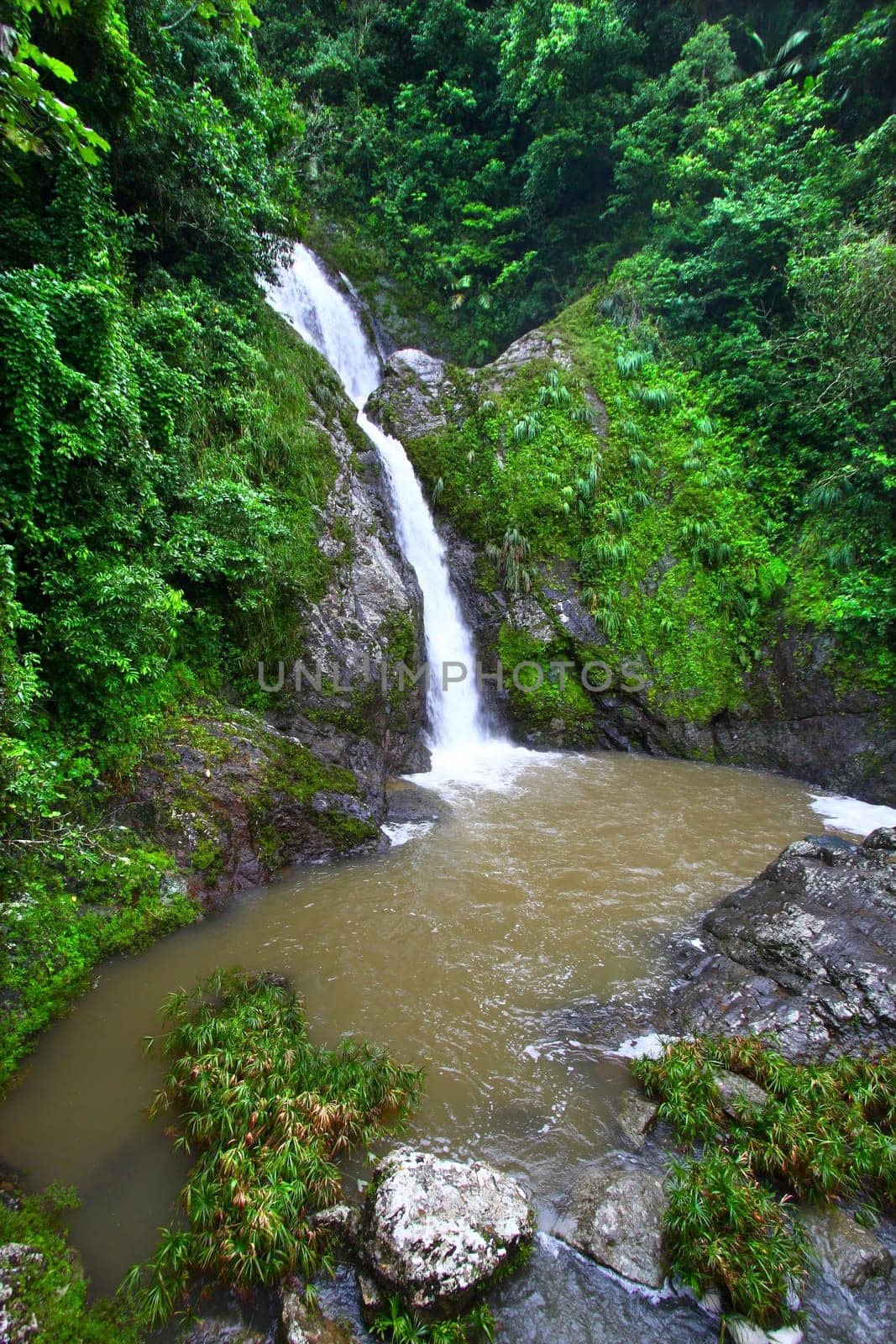 Beautiful Dona Juana Falls in the Cordillera Central rainforests of Puerto Rico.