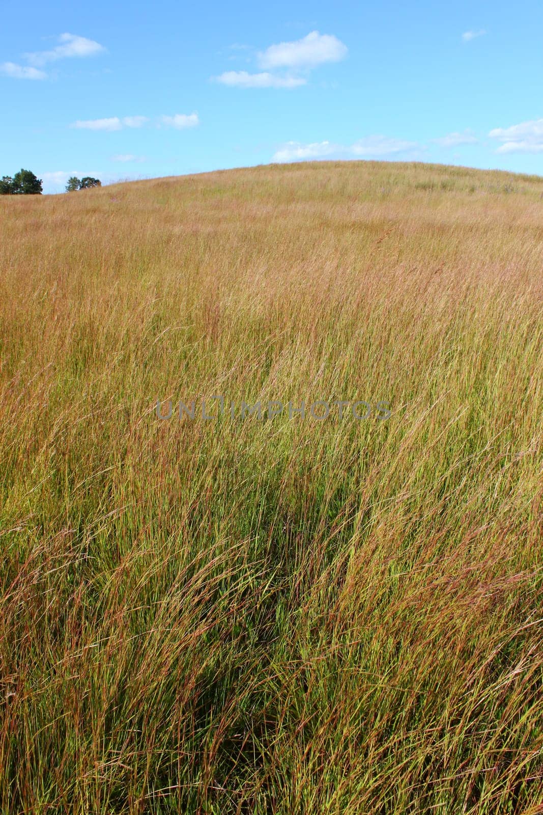 A vast prairie covers the landscape of northern Illinois.