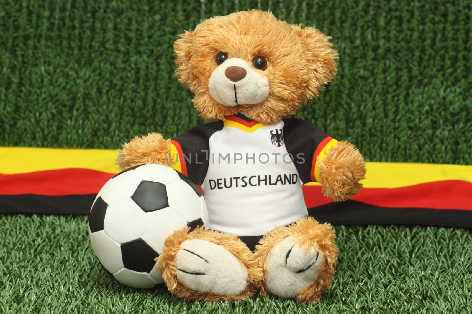 Teddy bear in football jersey on green background