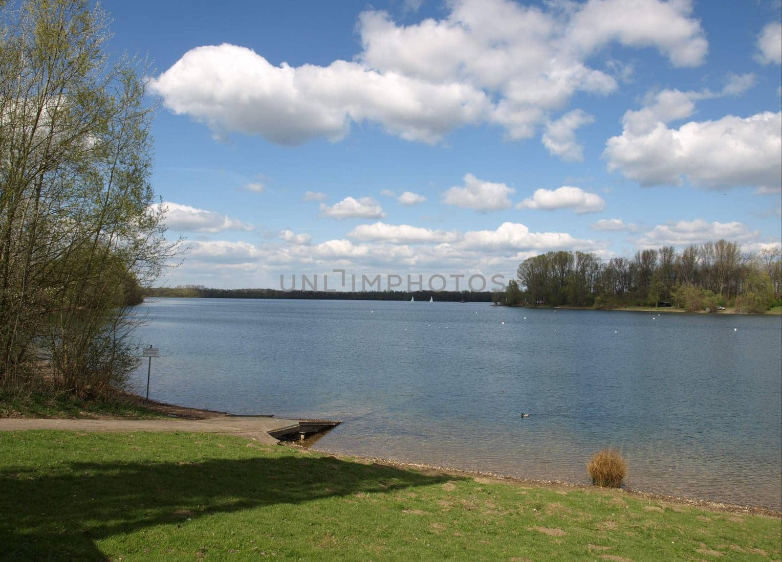 Auesee