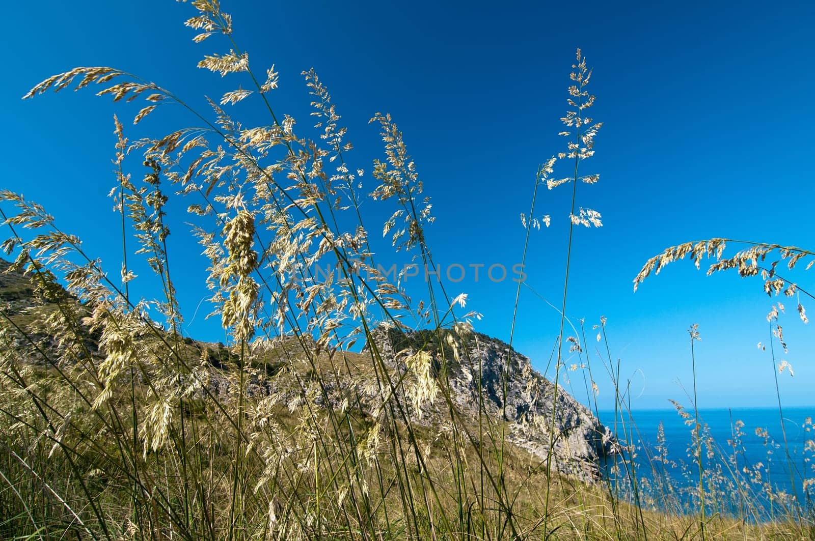 Shot of mountains and blue sea, beautiful view