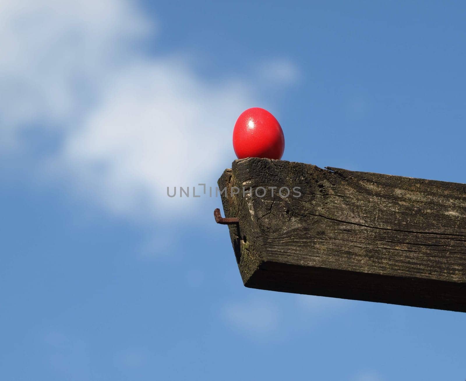 Ovulation - from the egg cup to the pergola