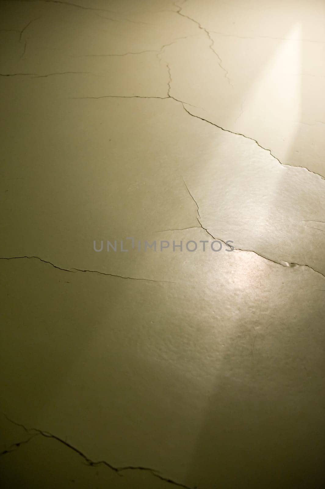 Shadow play