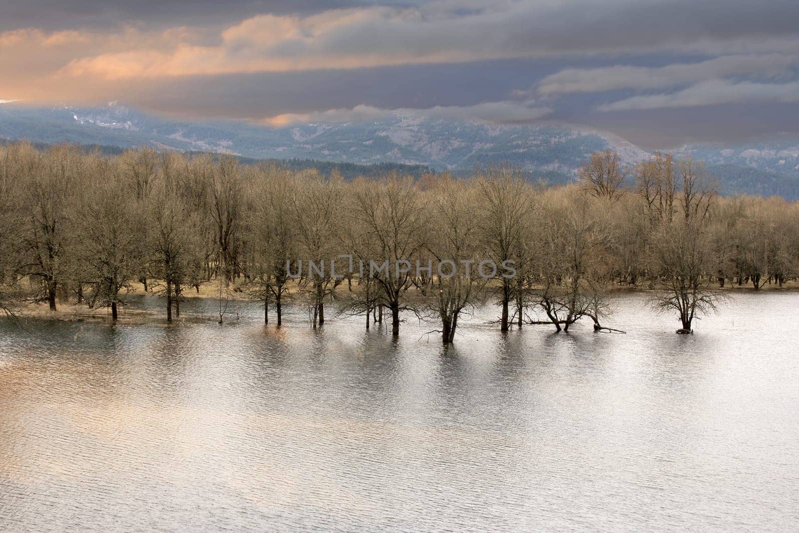 High Water on Wetlands at Columbia River Gorge Oregon