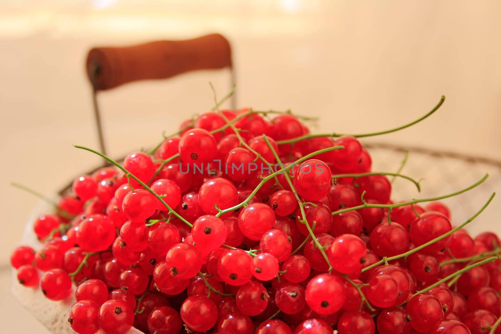freshly harvested red currants