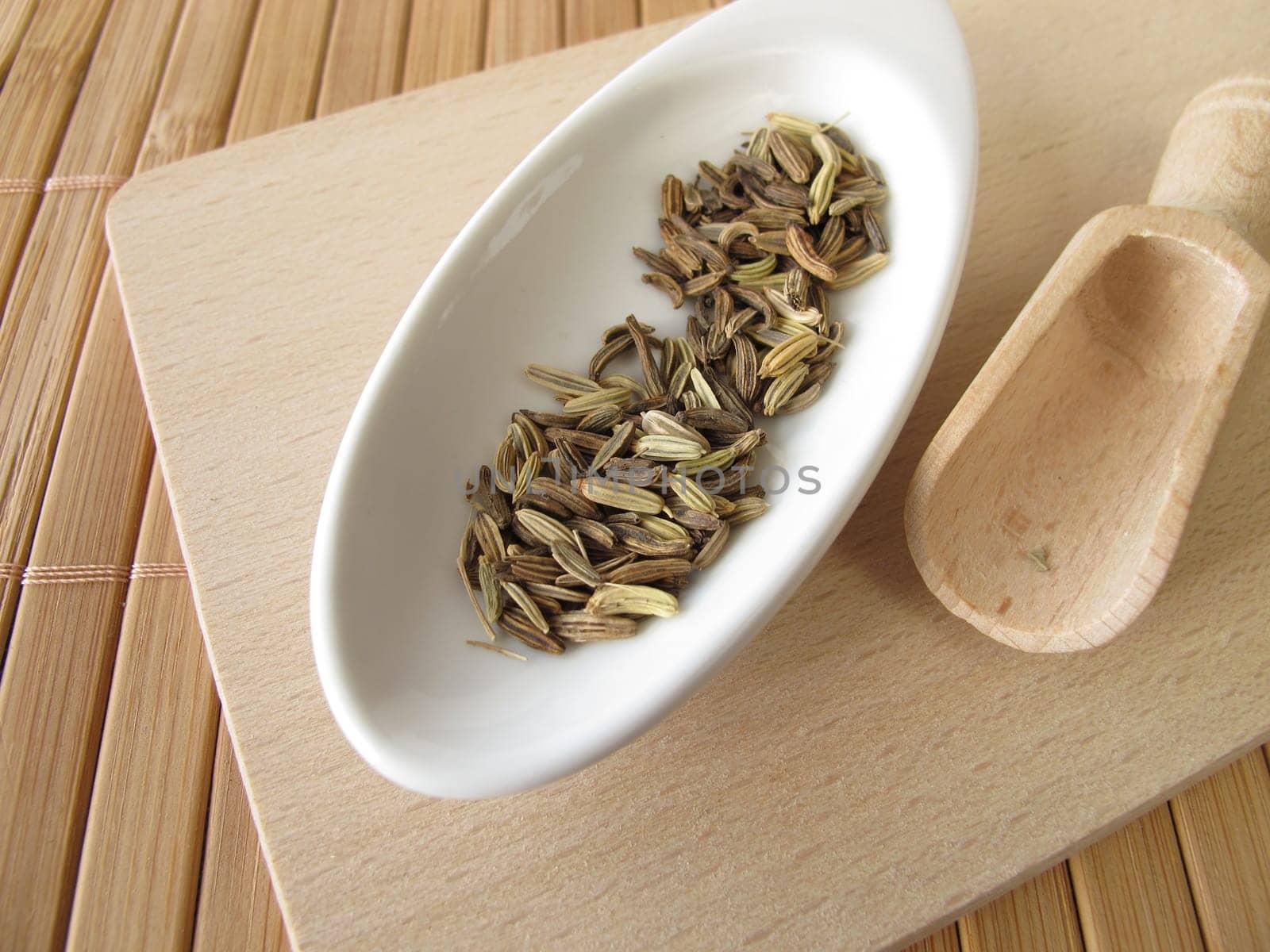 Fennel,Foeniculi fructus