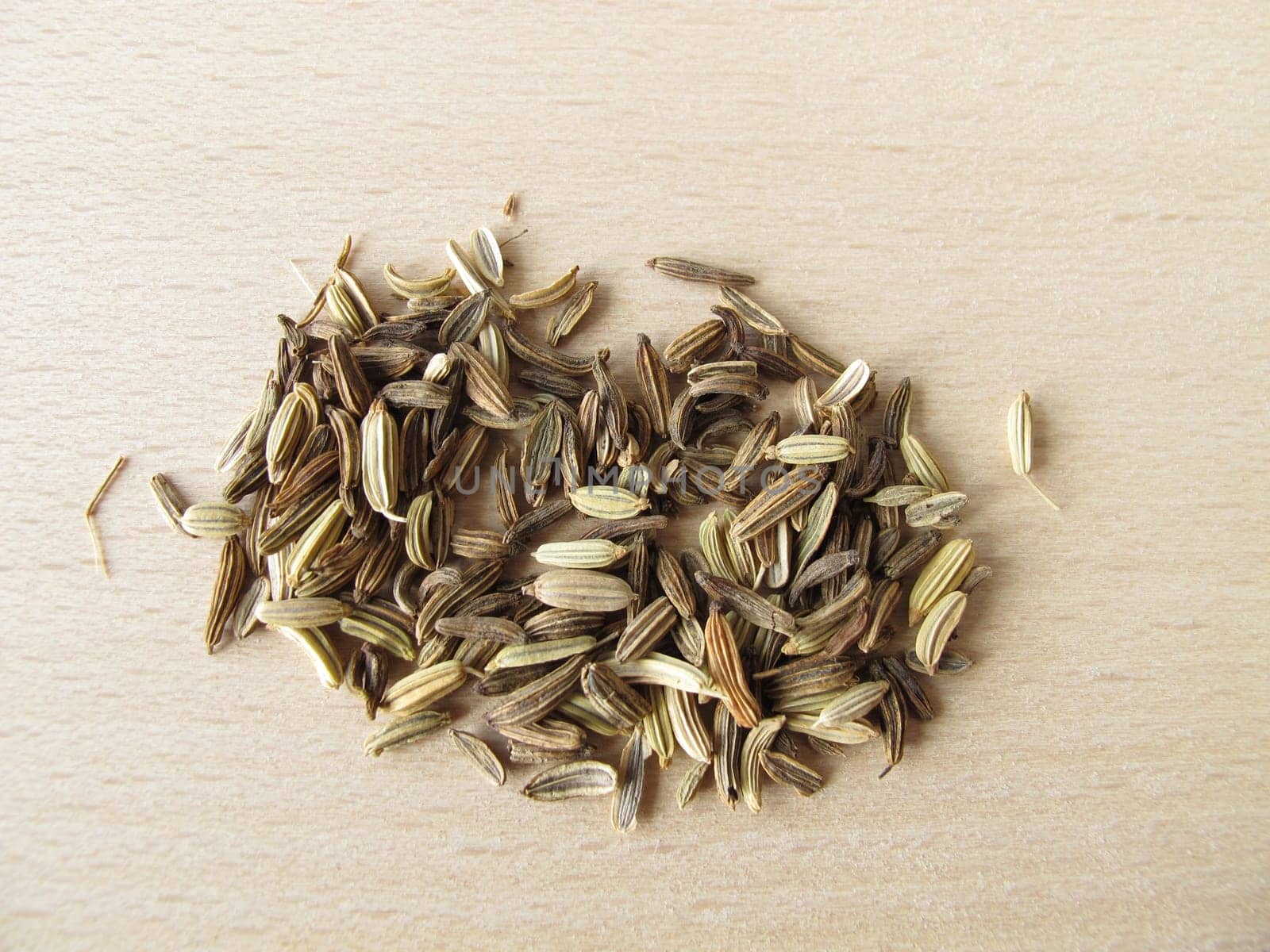 Fennel,Foeniculi fructus