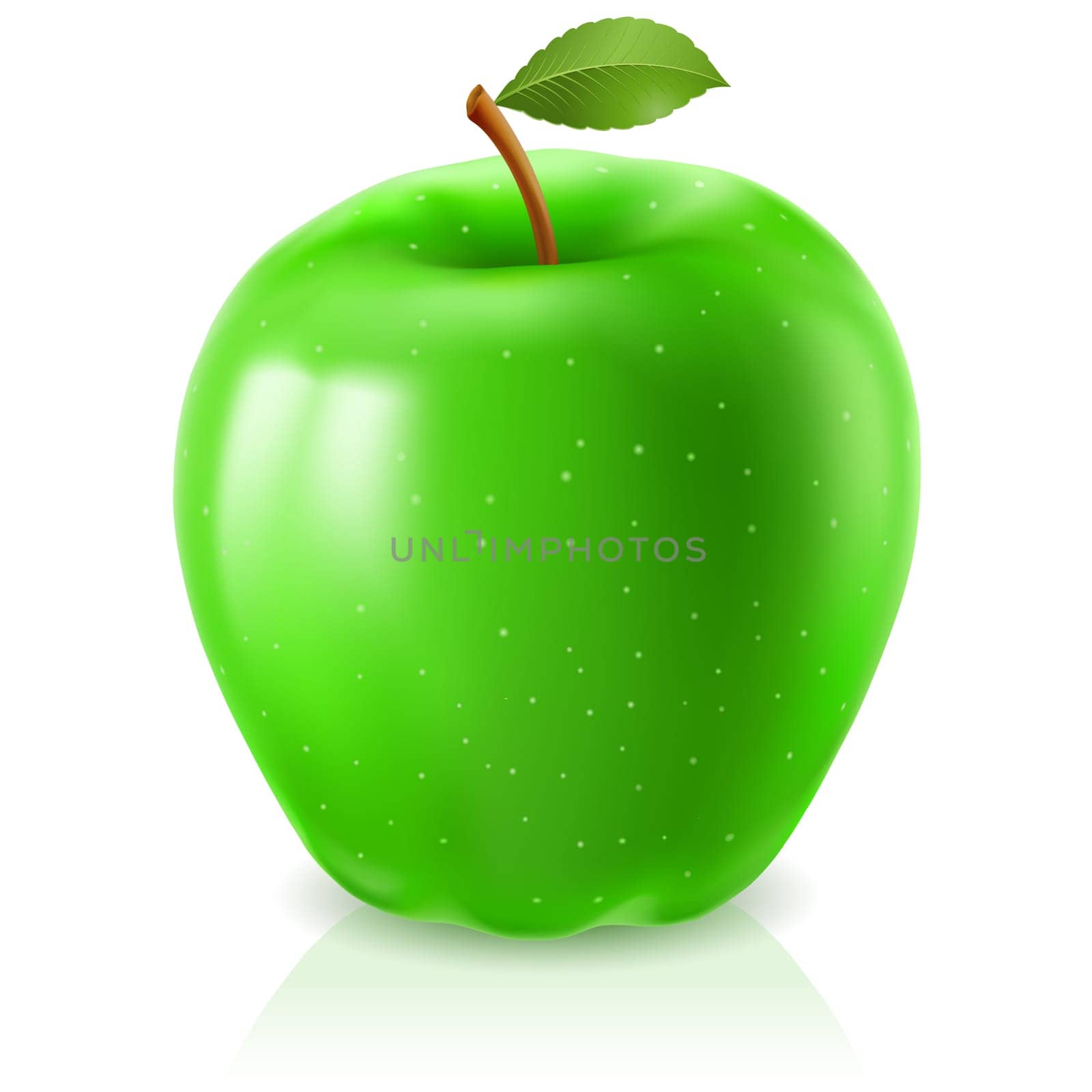 Green apple. Illustration on white background for design